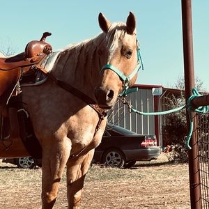 Meet your Posher, Riley